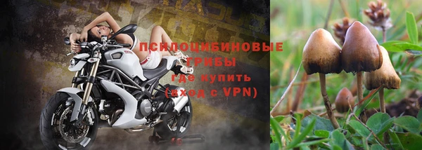 гидра Алзамай