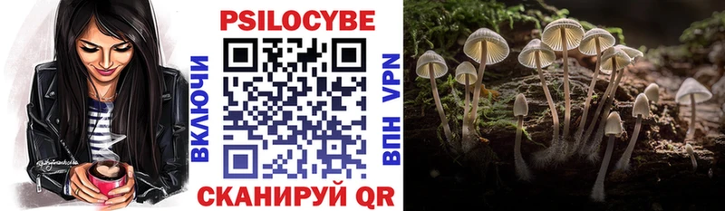 blacksprut как зайти  Слюдянка  Галлюциногенные грибы мицелий 